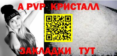 спайс Гай