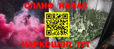 спайс Гай