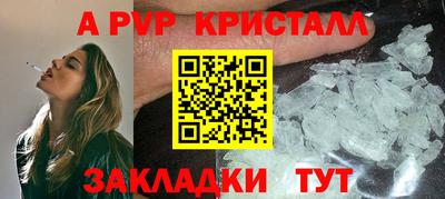 спайс Гай