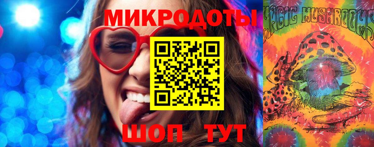 Галлюциногенные грибы Psilocybe Орёл